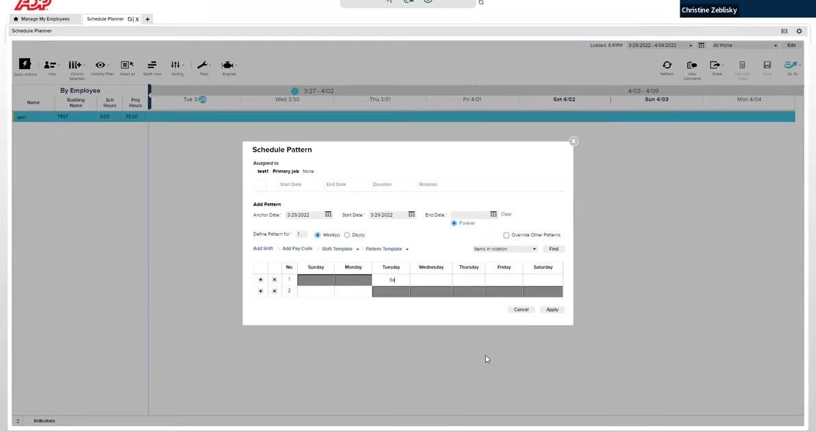 Schedule Pattern dialog open, with shift times being entered for each weekday.