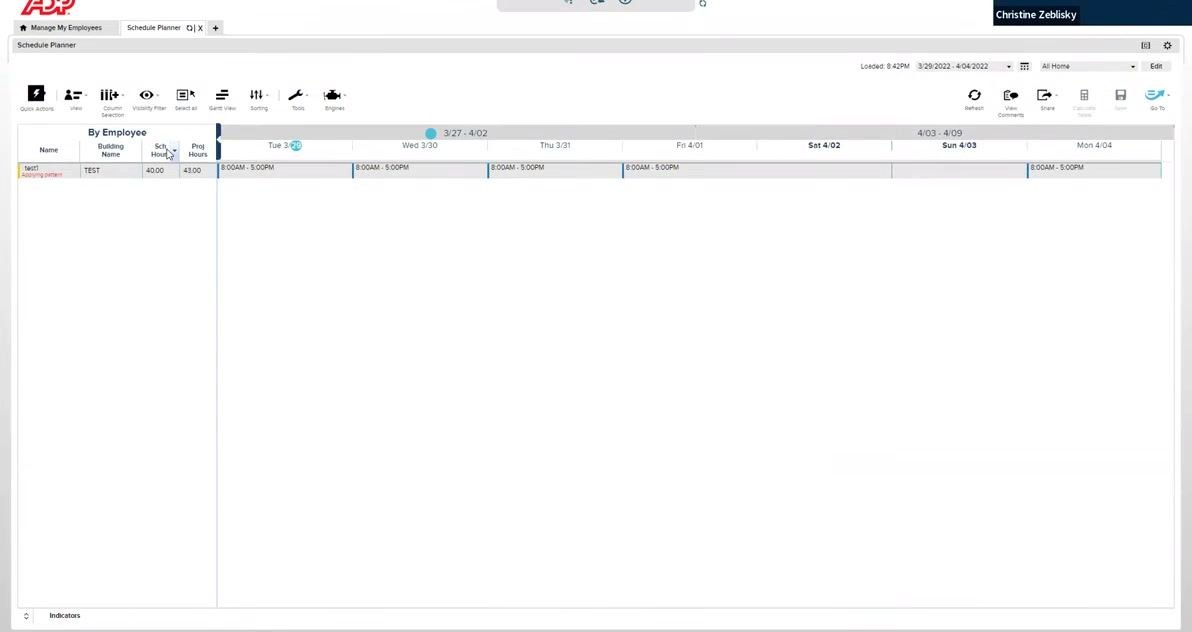 Main schedule planner view showing employee "test1" with scheduled hours and daily shift times displayed.