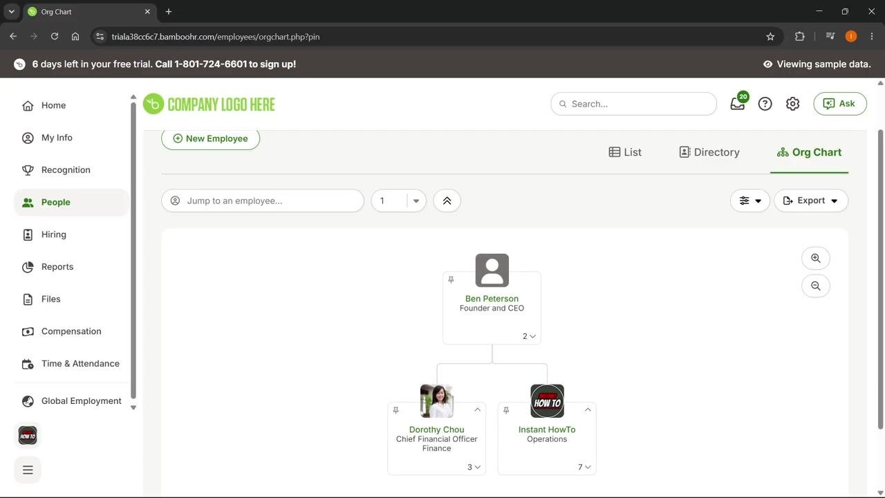 Org Chart view in BambooHR showing Ben Peterson (Founder and CEO) connected to direct reports Dorothy Chou (Chief Financial Officer, Finance) and Instant HowTo (Operations), with the People tab selected in the sidebar.