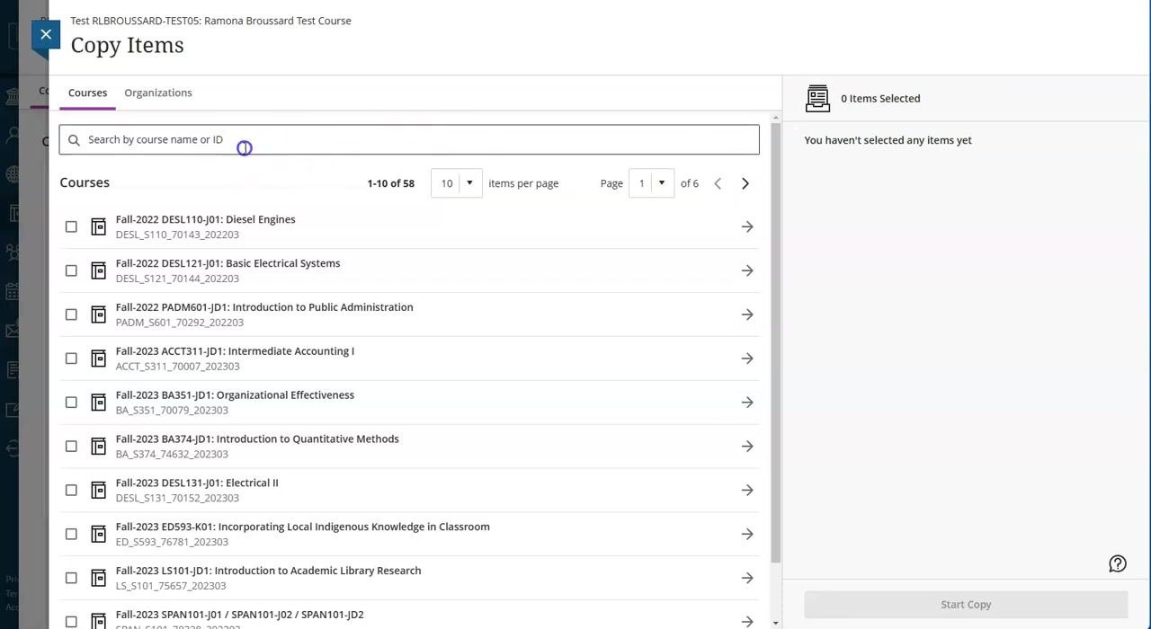 Copy Items panel showing a single course found, with its checkbox highlighted