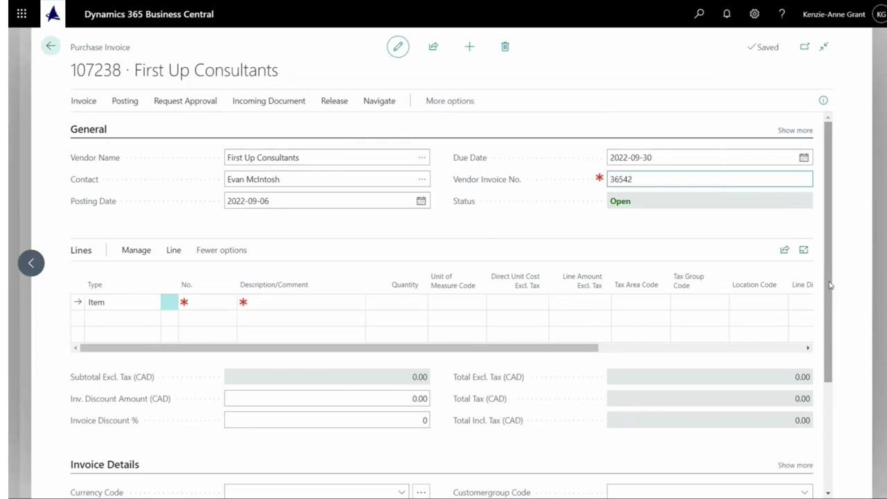 Purchase Invoice form with focus on the Lines section, ready for data entry