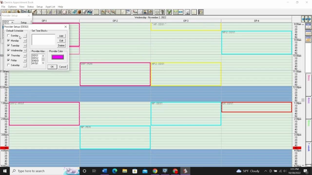Dentrix Provider Setup window open, showing options to set time blocks, select days, choose a provider alias, and assign a provider color for DDS3