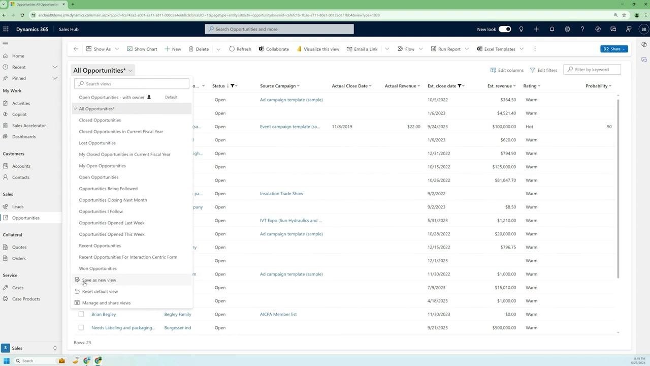 The "Save as new view" dialog, with the name field partially filled out.