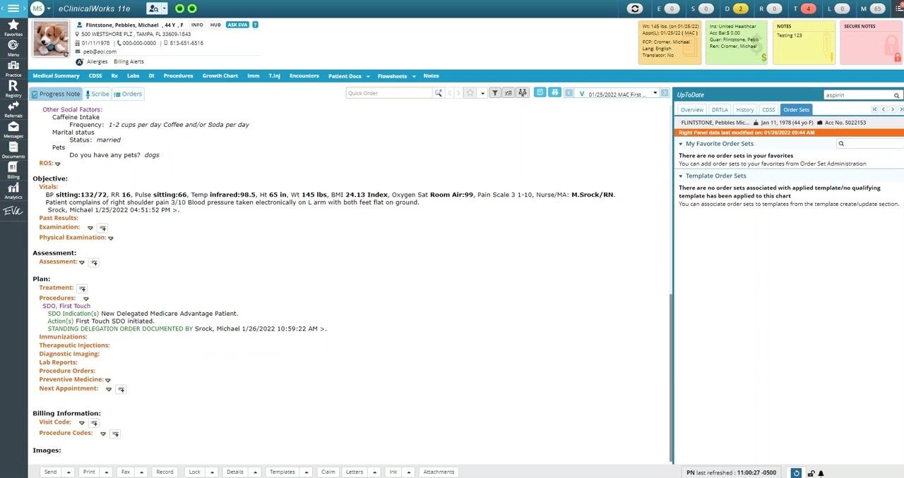 The Plan section is highlighted with Treatment visible and ready to be clicked. The right panel still shows no order sets.