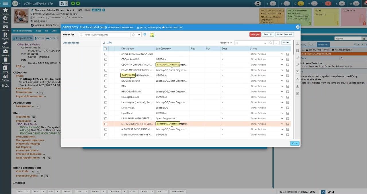 The First Touch Visit (wm) order set is now loaded, displaying a list of labs and associated details such as lab company and status.