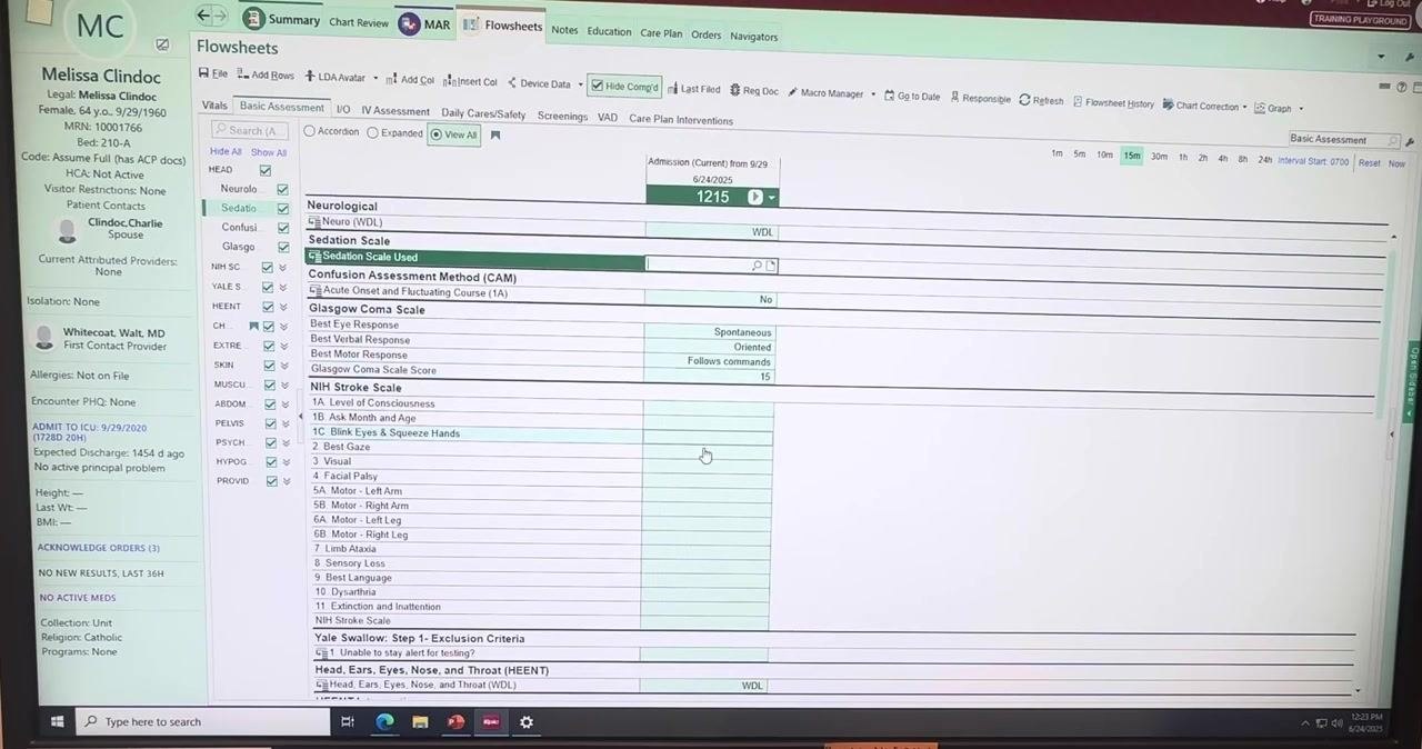 Epic Flowsheets screen showing patient selection and the Basic Assessment tab