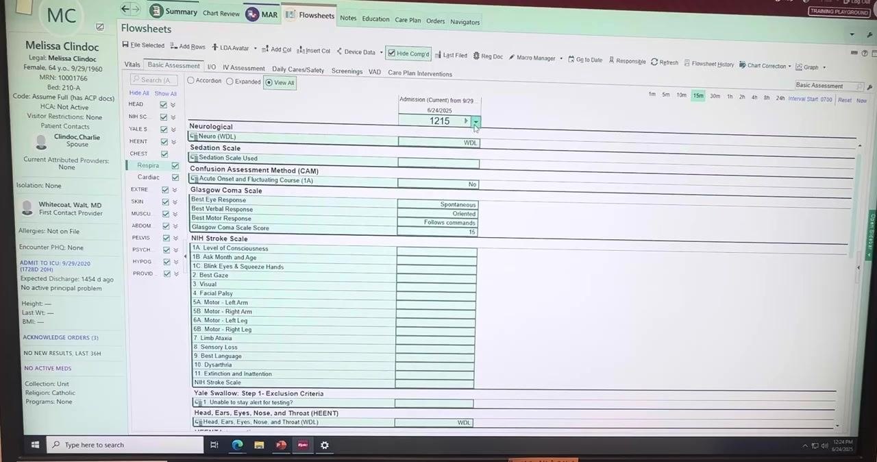 Flowsheet Macro Manager window open, with the macro name being entered as "normal patient assessment WDL"