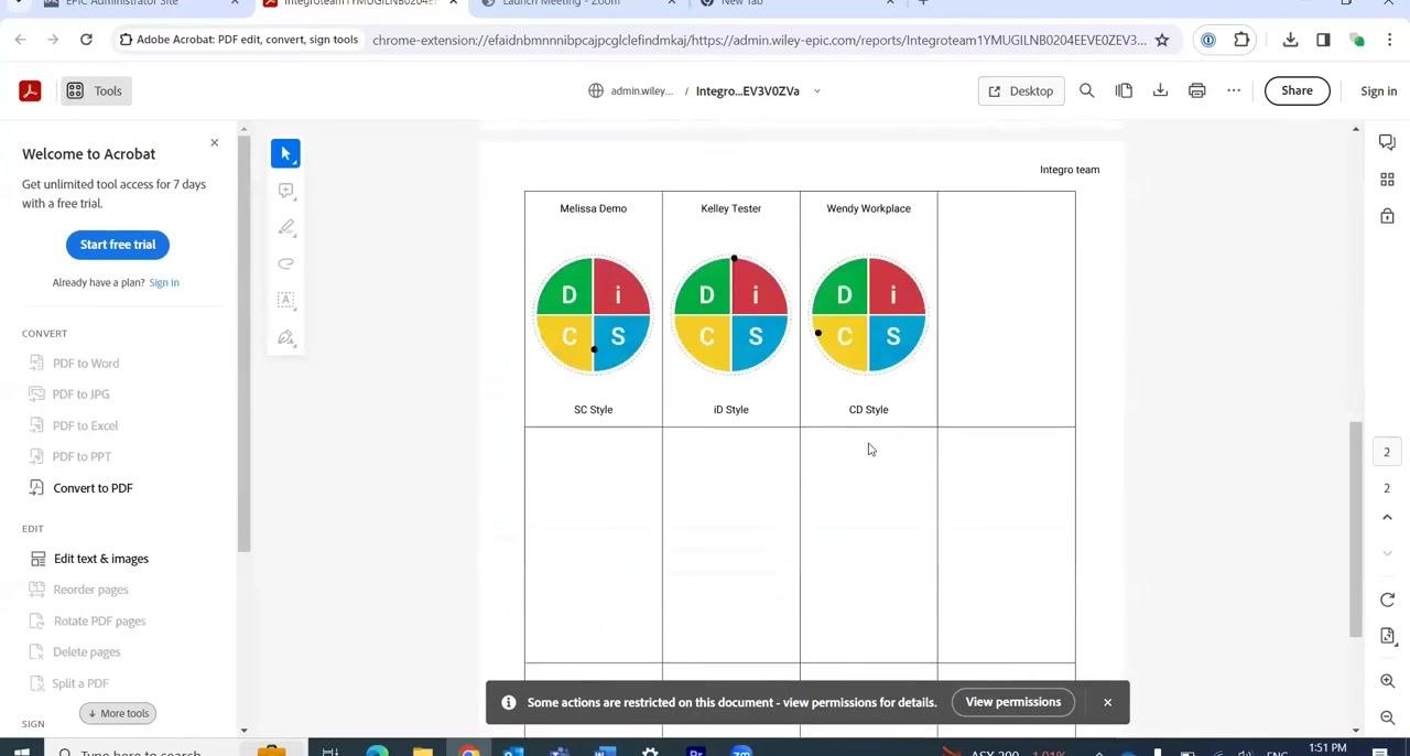 Team View report page showing participant names, DiSC style wheels, and style labels for each team member.
