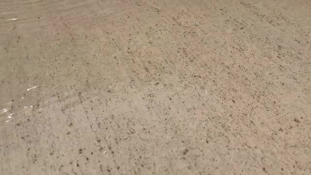 Concrete surface with scattered dark sediment particles and a thin layer of water, showing sediment flushed from the water heater