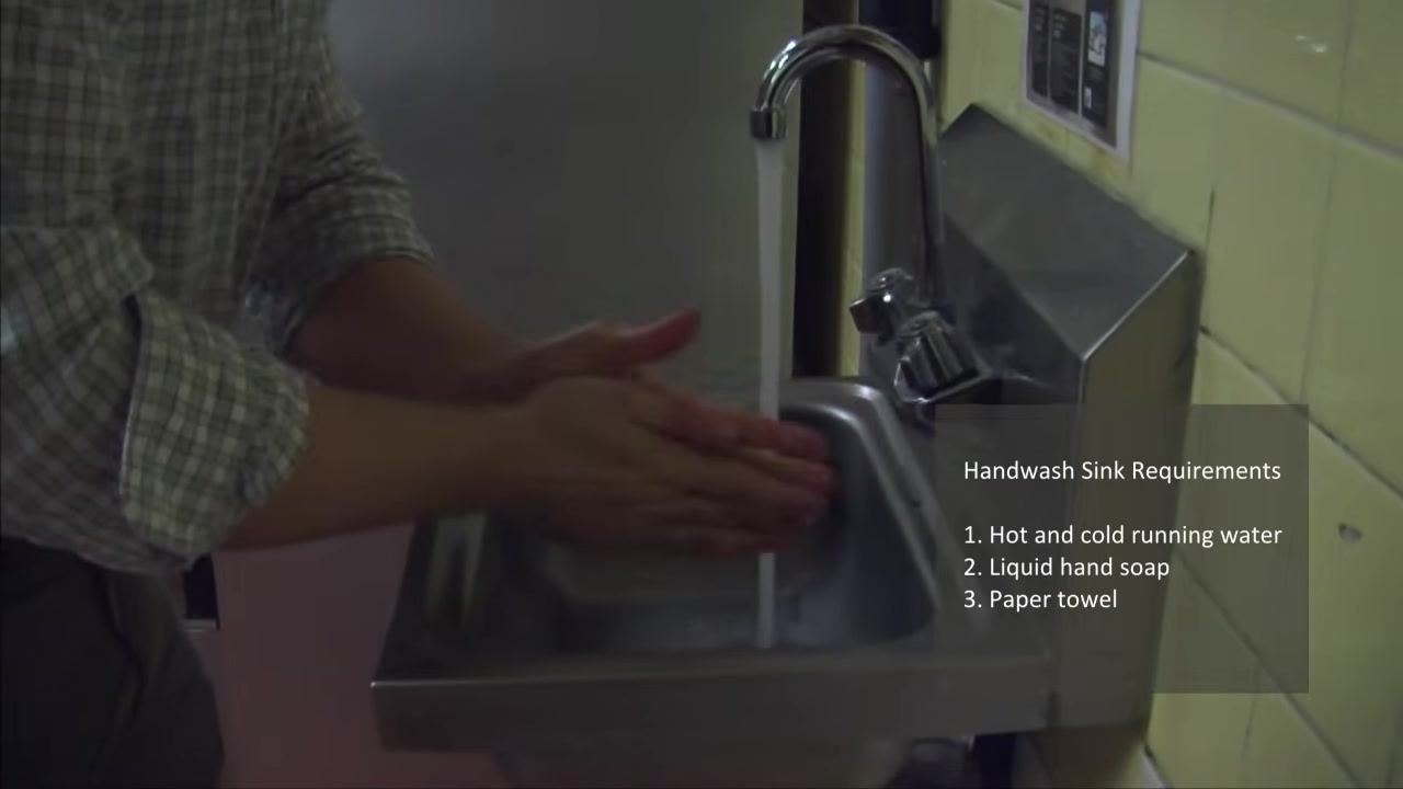 Close-up of hands being washed under running water at a stainless steel sink, with the handwash sink requirements listed: hot and cold running water, liquid hand soap, paper towel