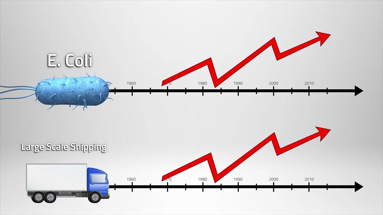 A timeline graphic spanning 1960 to 2010, marking the era of increased global travel and trade