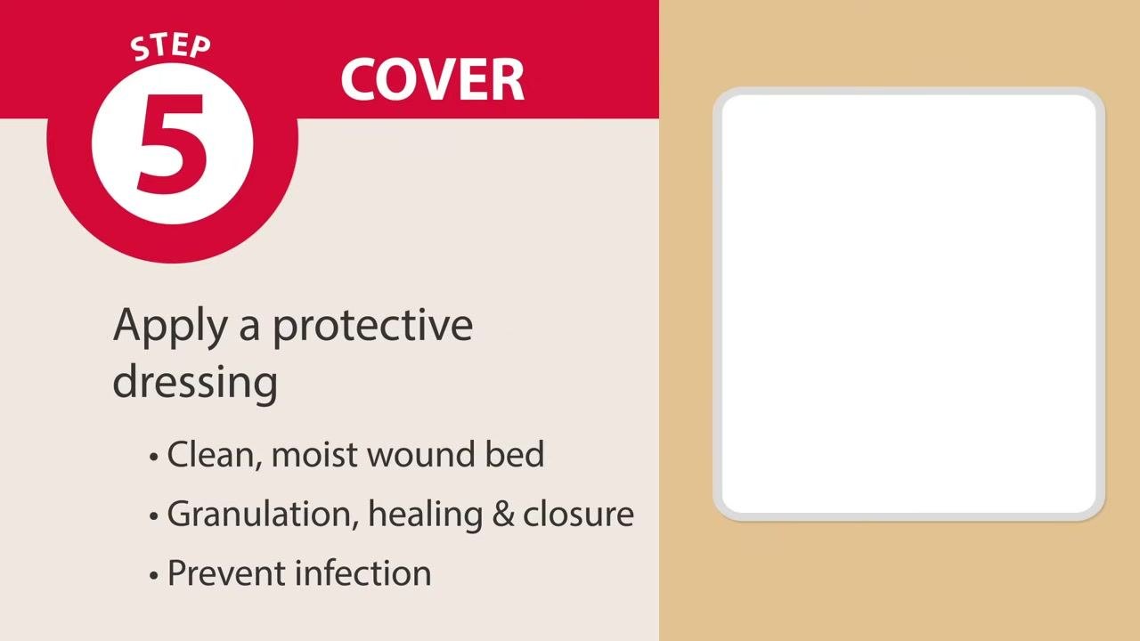 Screen labeled "Step 4: Fill" listing "Gauze, Foams, Fibers, Alginates, Gels, Anti-microbial agent," with an illustration of a wound being filled