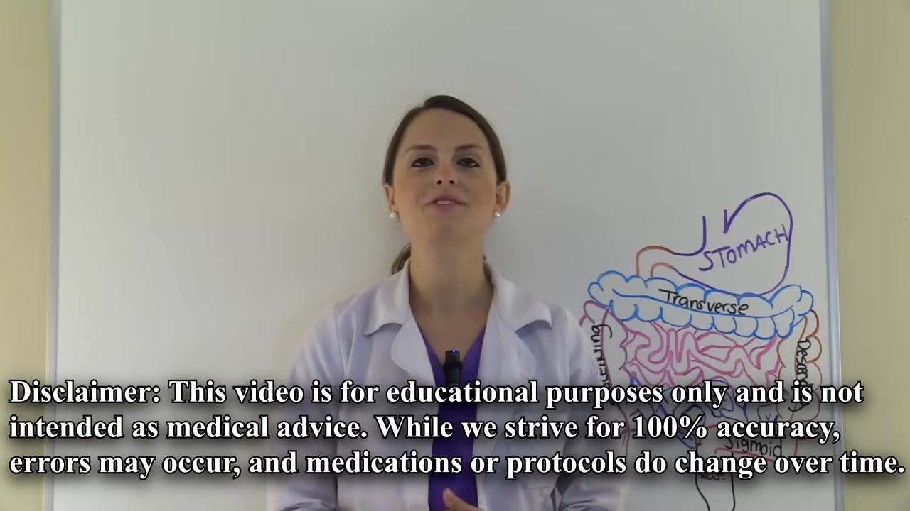 Presenter in front of a whiteboard with digestive system diagram and disclaimer text at the bottom