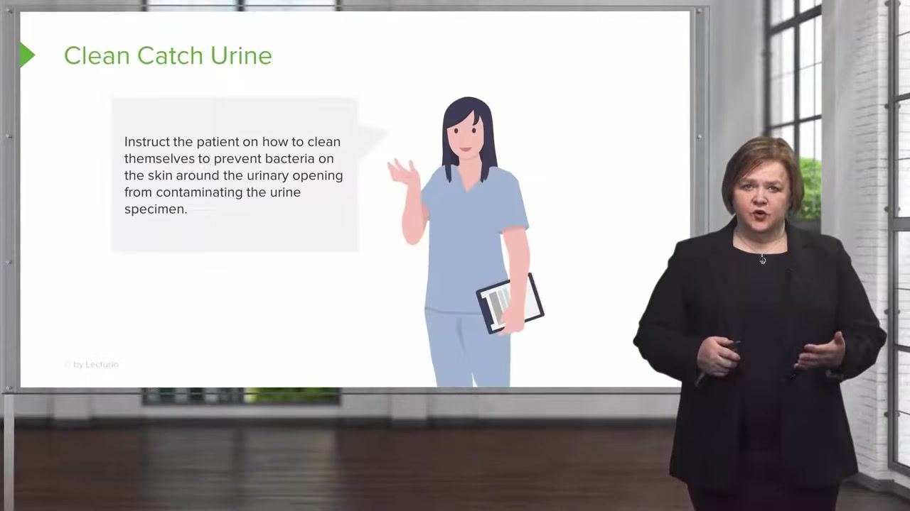 Slide showing a nurse illustration with a speech bubble instructing the patient on proper cleaning before urine collection.