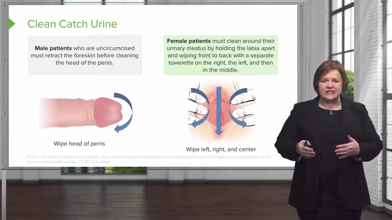 Slide with illustrations showing foreskin retraction and wiping for male patients, and labia held apart with wiping directions for female patients.