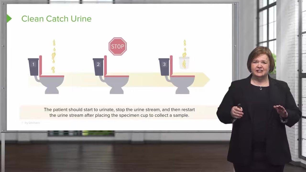 Slide showing three toilets labeled 1, 2, and 3: starting the stream, stopping the stream with a stop sign, and restarting the stream to collect urine in a specimen cup.