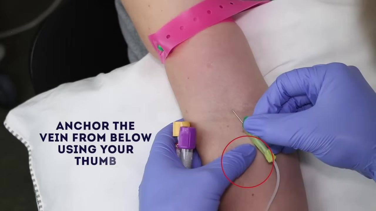 Gloved hands anchoring a vein on a patient's arm with a pink tourniquet in place, holding a butterfly needle and sample tubes, heading "Anchor the vein from below using your thumb"