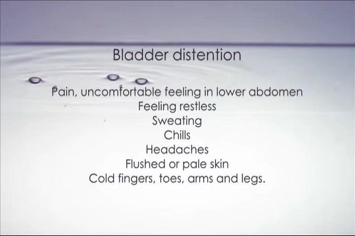 Screen listing symptoms of bladder distension: abdominal pain or discomfort, restlessness, sweating, chills, headaches, flushed or pale skin, cold extremities