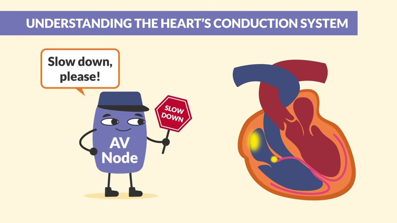 A heart diagram highlights the conduction pathways, alongside a document labeled "NCLEX" under the heading "Commonly tested."