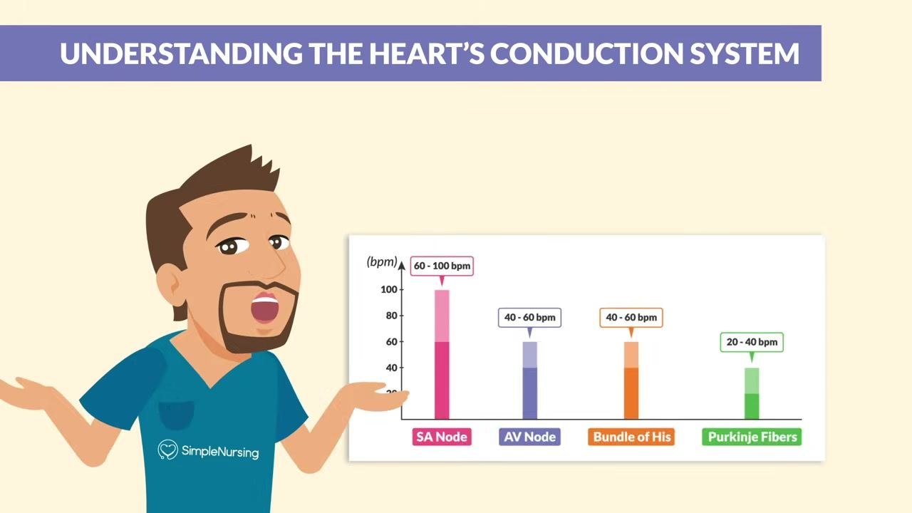 A tip card reads: "Some Angry Bunnies Punch: SA Node → AV Node → Bundle of His → Purkinje Fibers," with four heart diagrams illustrating each step.