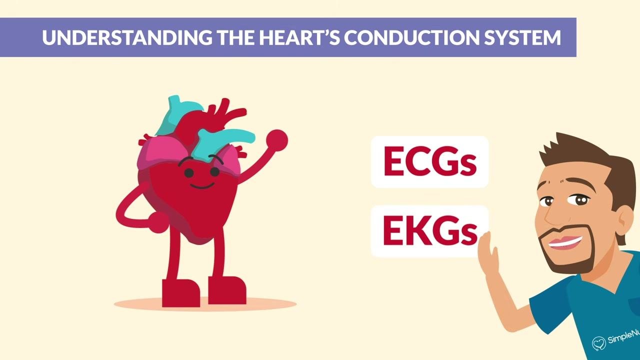 A cartoon heart appears next to the terms "ECGs" and "EKGs," under a banner reading "Understanding the heart's conduction system."