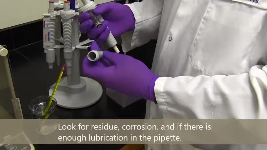 A person in a lab coat and purple gloves holds a disassembled pipette, inspecting the inside. Several pipettes are on a stand, a thermometer is in a beaker of liquid, and a Kimtech wipes box is visible.
