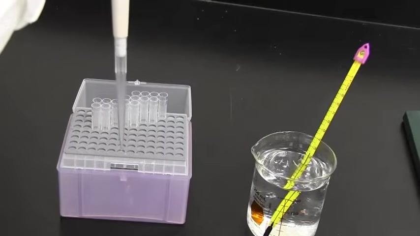 Gloved hand pressing the pipette plunger, showing the correct grip and motion.