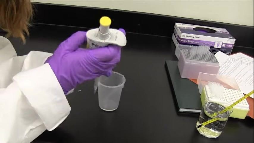Close-up of a pipette tip with a visible water droplet on the outside, held by a gloved hand.