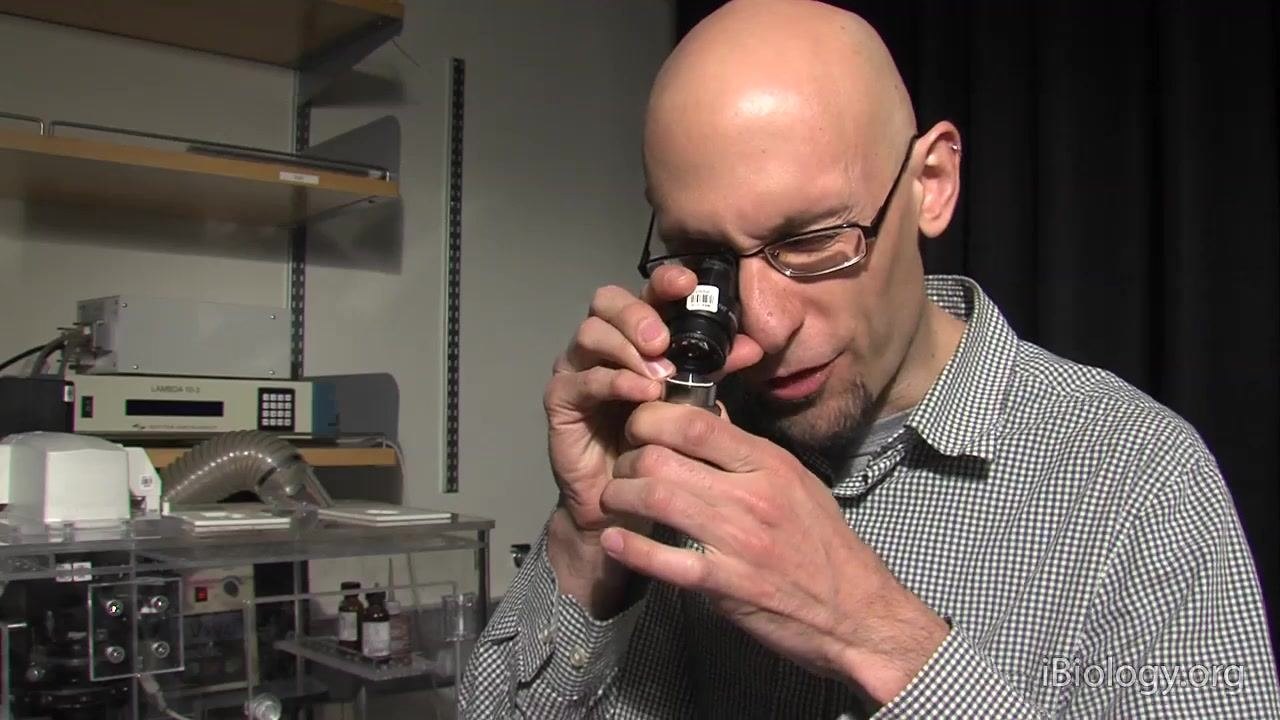 A person closely inspects a microscope objective using an eyepiece as a magnifier, with laboratory equipment and shelves visible in the background.