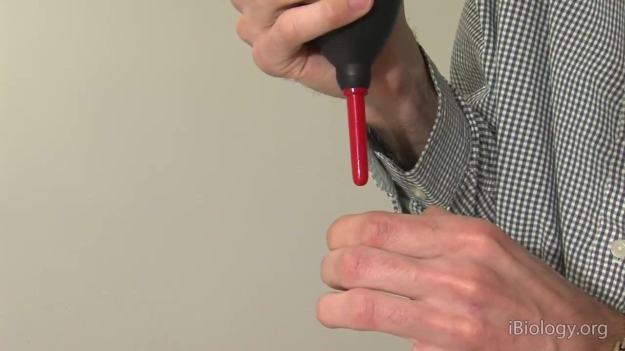 Hands hold a black air blower with a red nozzle while preparing to handle a filter.