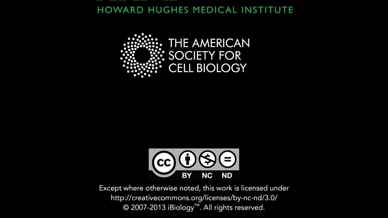 Screen displaying the iBiology logo with the tagline "Bringing the World's Best Biology to You."