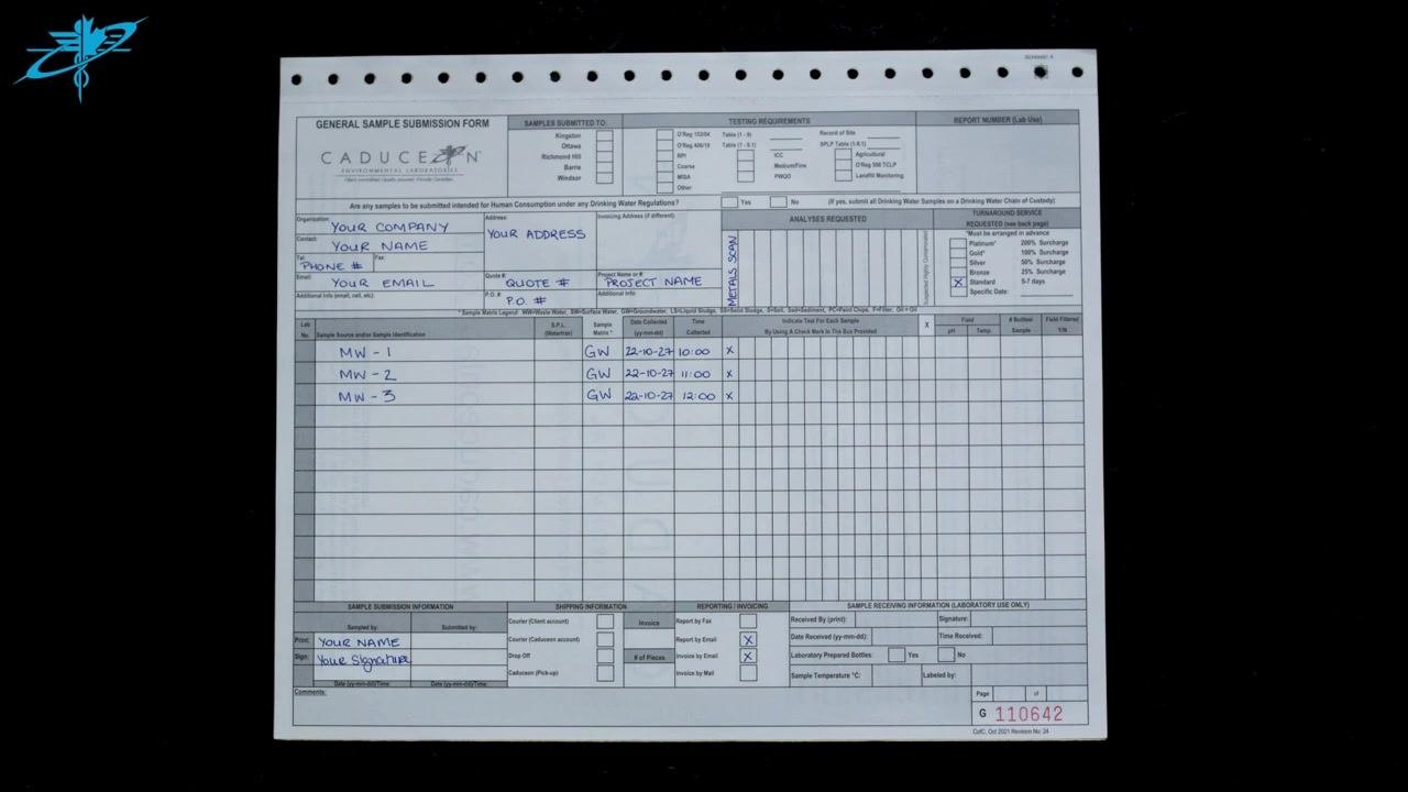 Close-up of the Client Information section with example entries for organization name, contact name, address, phone number, email, quote number, PO number, and project name