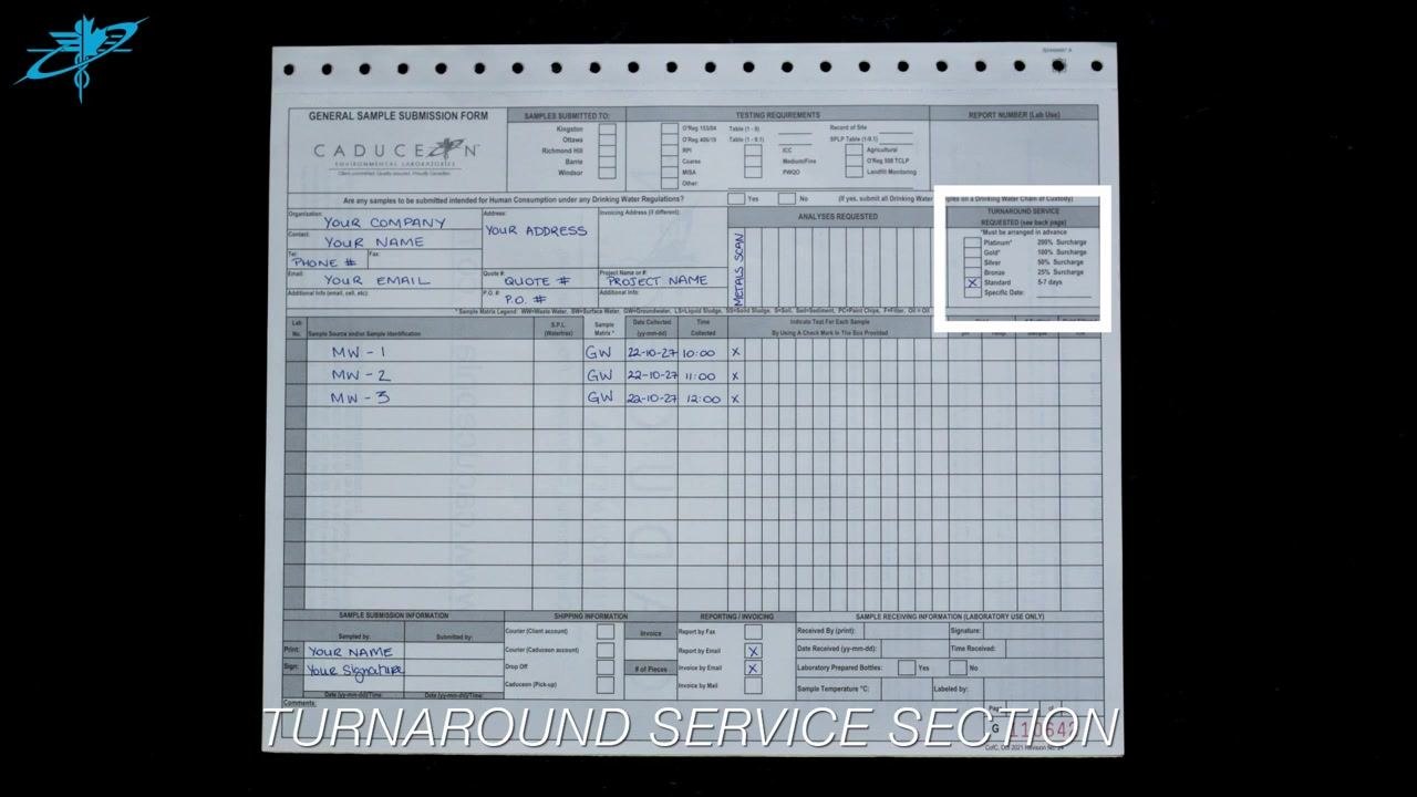 Close-up of the Reporting/Invoicing section with Report by Email and Invoice by Email checked