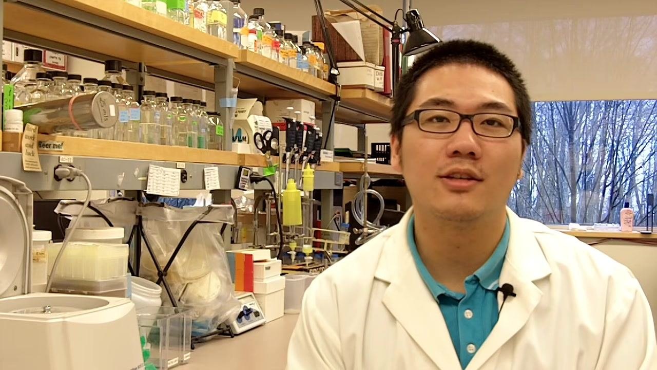 A person in a lab coat sits in a laboratory with various bottles, pipettes, and equipment on shelves. A standard tabletop centrifuge is visible on the bench.