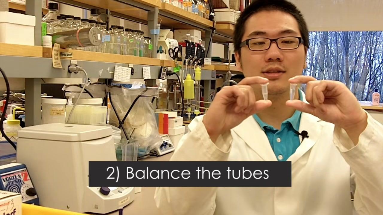 A person in a lab coat holds two microfuge tubes at eye level, showing unequal liquid levels. The on-screen step reads "2) Balance the tubes."