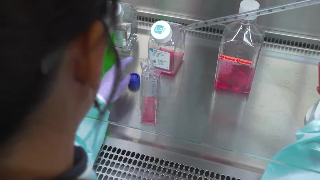 Scientist gently rocking a capped cell culture flask to distribute cells evenly, with bottles of media and tube racks visible