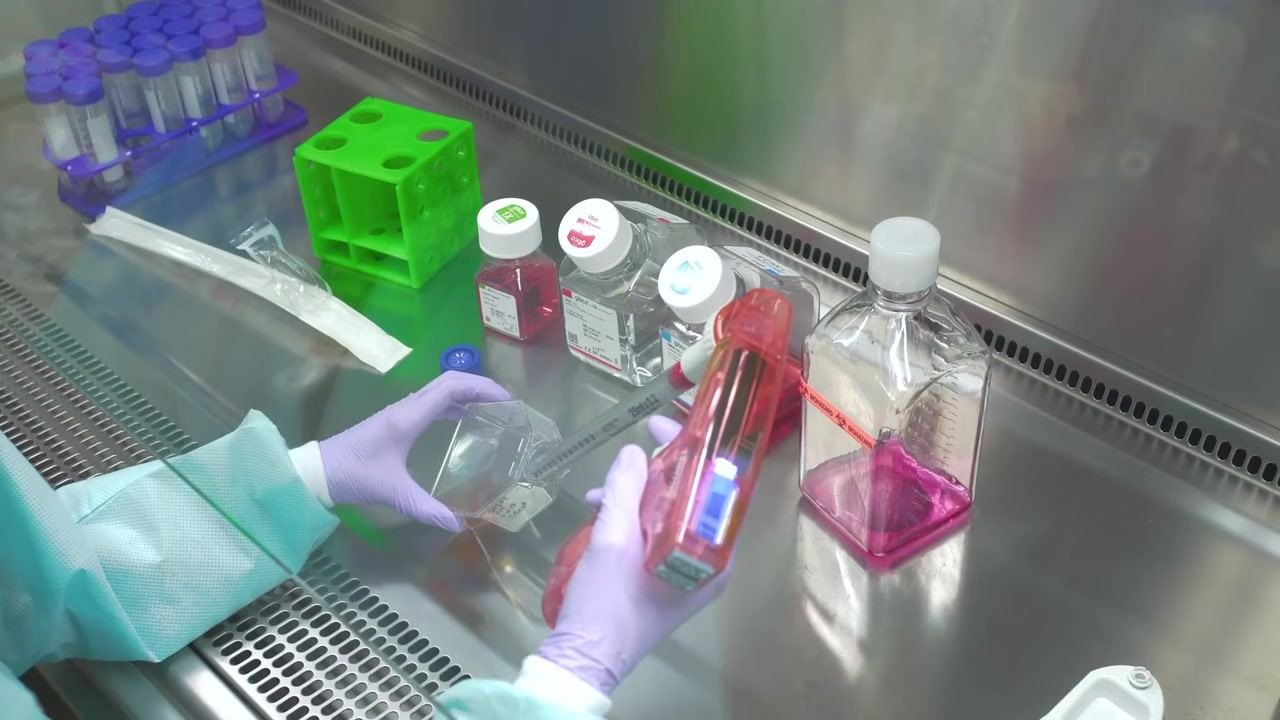 Gloved hands using a pipette to add solution to a cell culture flask, with labeled bottles and a green tube rack visible