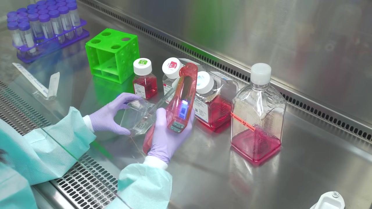 Gloved hands adding dissociation reagent to a cell culture flask using a pipette, with labeled bottles and equipment visible