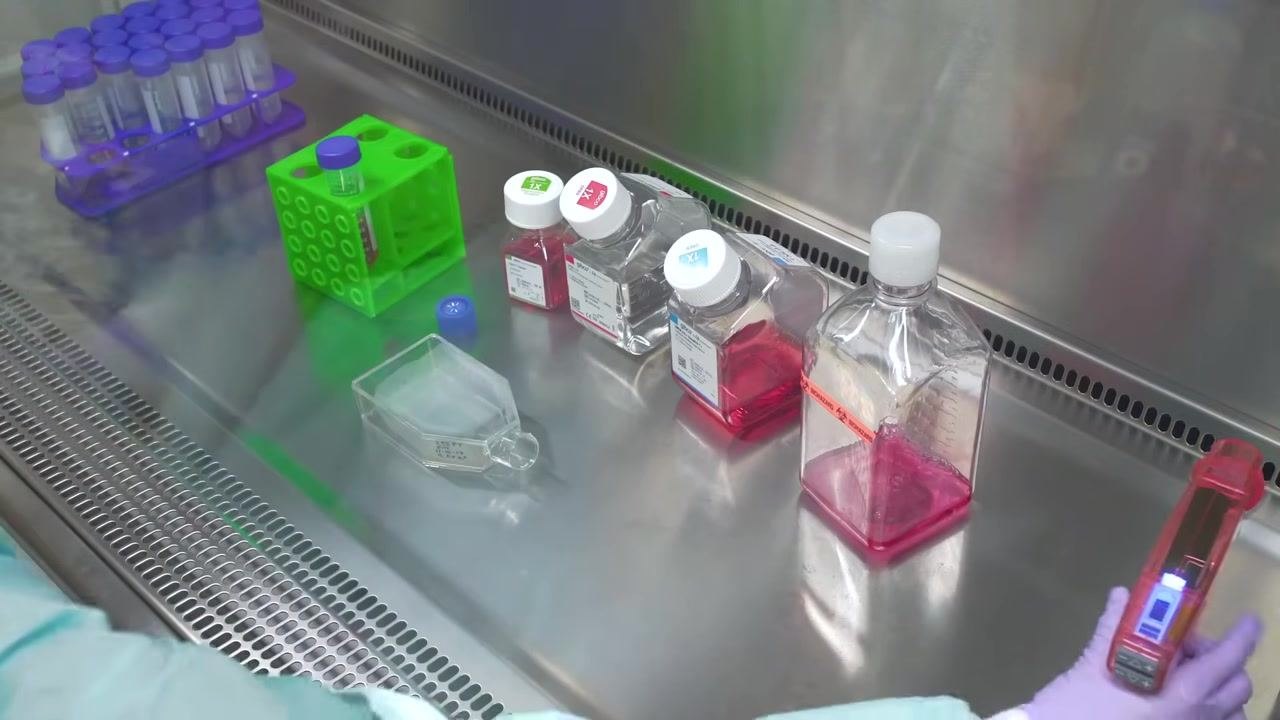 Gloved hands transferring cell suspension into a conical tube using a pipette controller, with a green tube rack and bottles of media visible