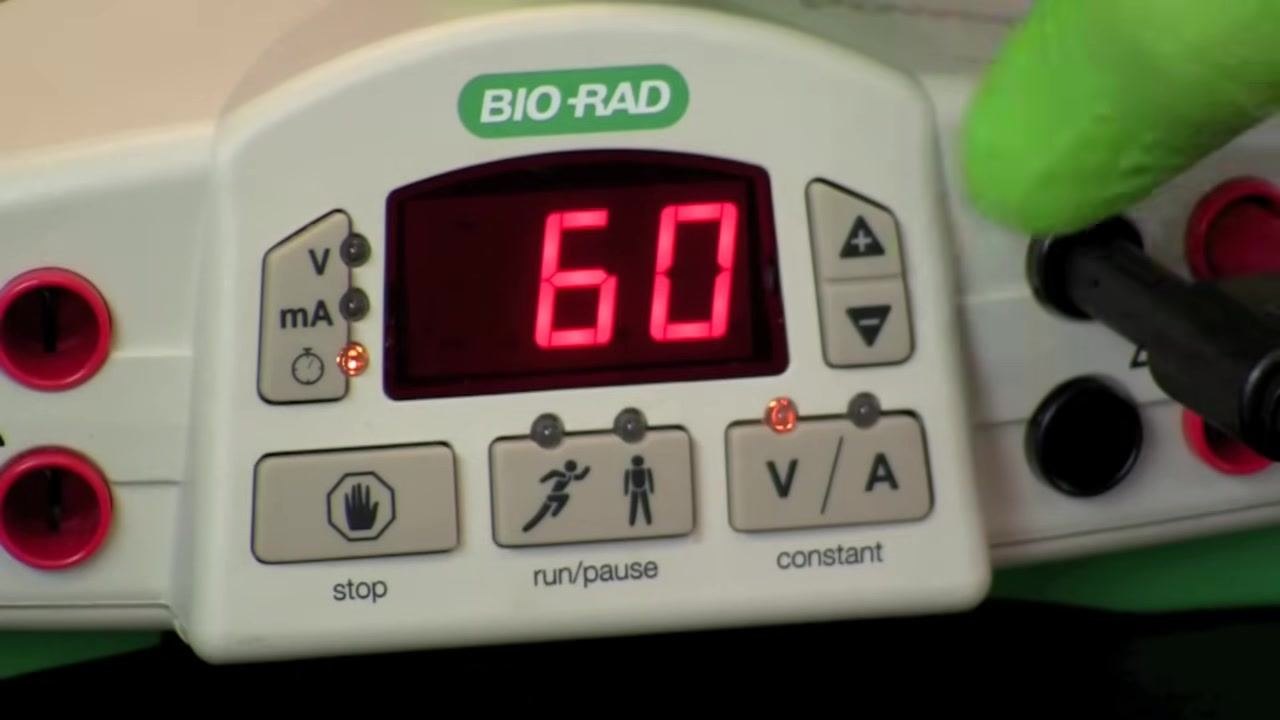 Close-up of the power supply display showing 60, with a gloved hand near the black electrode connection, indicating current is applied