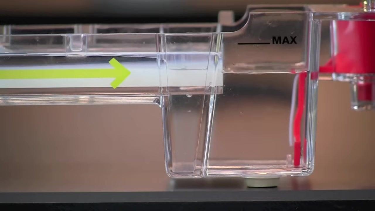 Side view of the gel chamber showing buffer level and the MAX fill line, ready for sample loading