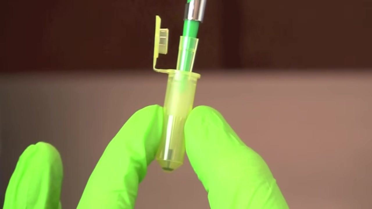 Gloved hands holding a microtube with the pipette tip inserted near the bottom, ready to aspirate the DNA sample