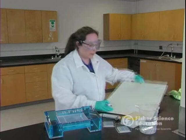 Instructor explaining the cost efficiency of agarose, with electrophoresis equipment and gel trays visible on the lab bench