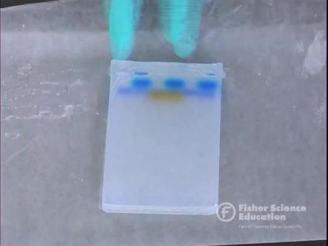 A gloved hand points to a gel resting on a protective sheet, with the electrophoresis chamber visible nearby
