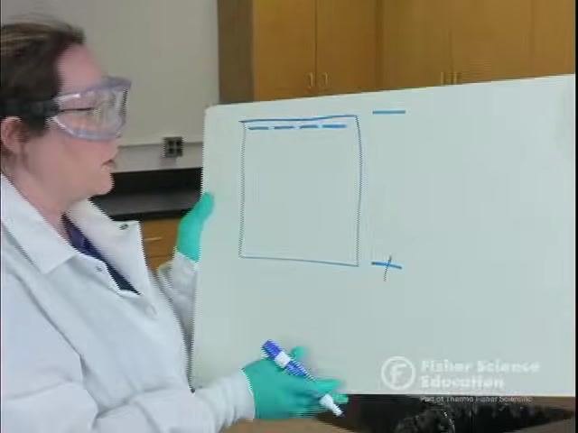 Pointing to a gel diagram with multiple bands at different distances, illustrating DNA separation