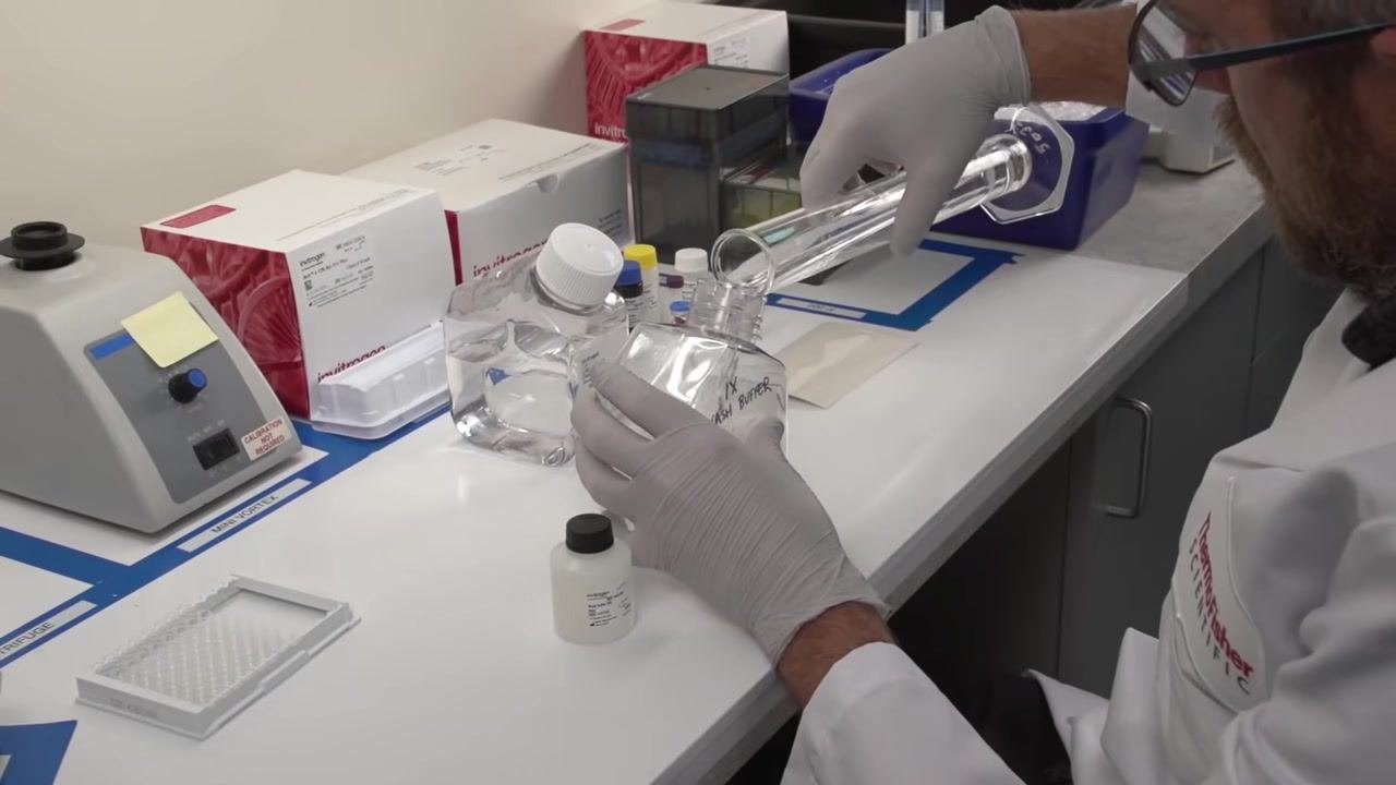 Lab bench showing the reconstituted protein standard vial alongside wash buffer bottles and other reagents.