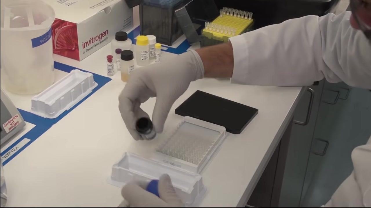 Technician adding the chromogenic substrate solution to the ELISA plate wells, with labeled reagents and pipettes on the bench.