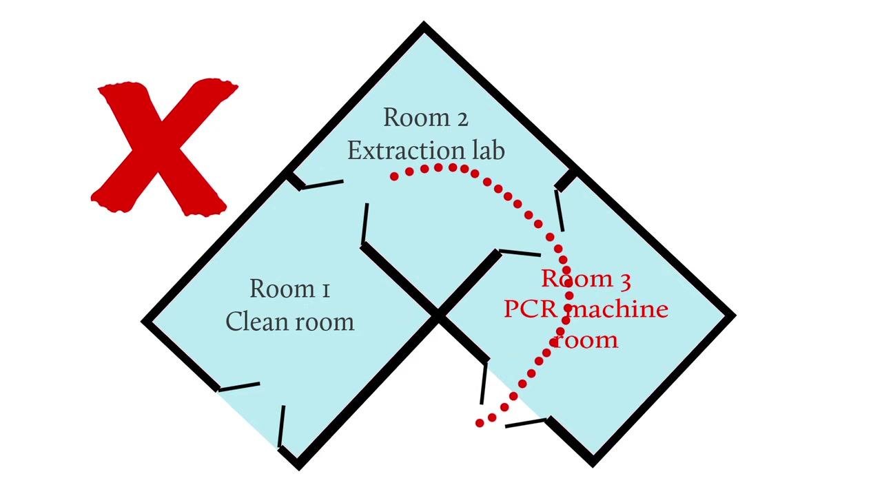 Diagram with a red X showing incorrect workflow: moving from Room 3 (PCR machine room) back to Room 2 (Extraction lab) and Room 1 (Clean room), highlighting contamination risk.