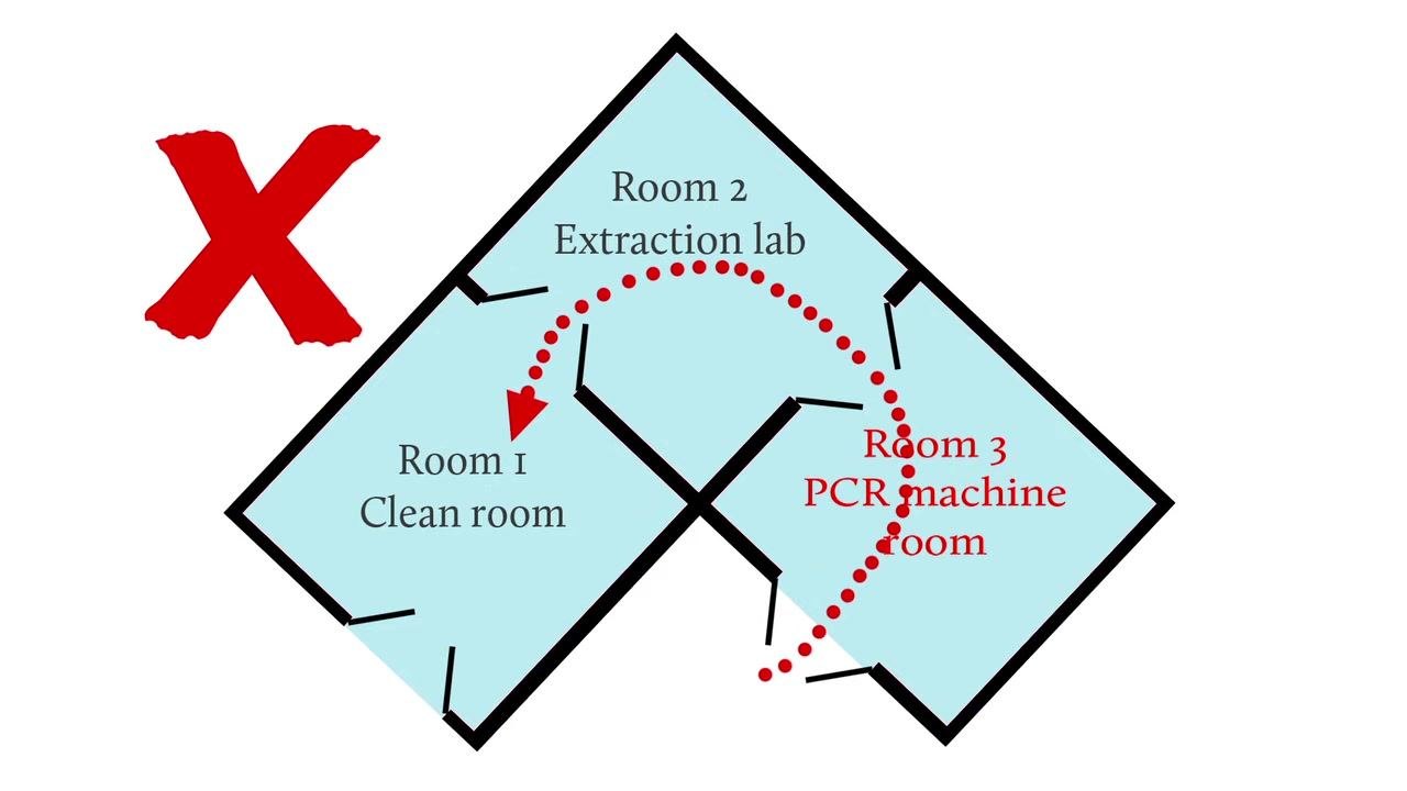 Diagram showing a red X and a dotted arrow moving from Room 3 (PCR machine room) back to Room 2 (Extraction lab) and Room 1 (Clean room), illustrating the incorrect and contamination-prone workflow.