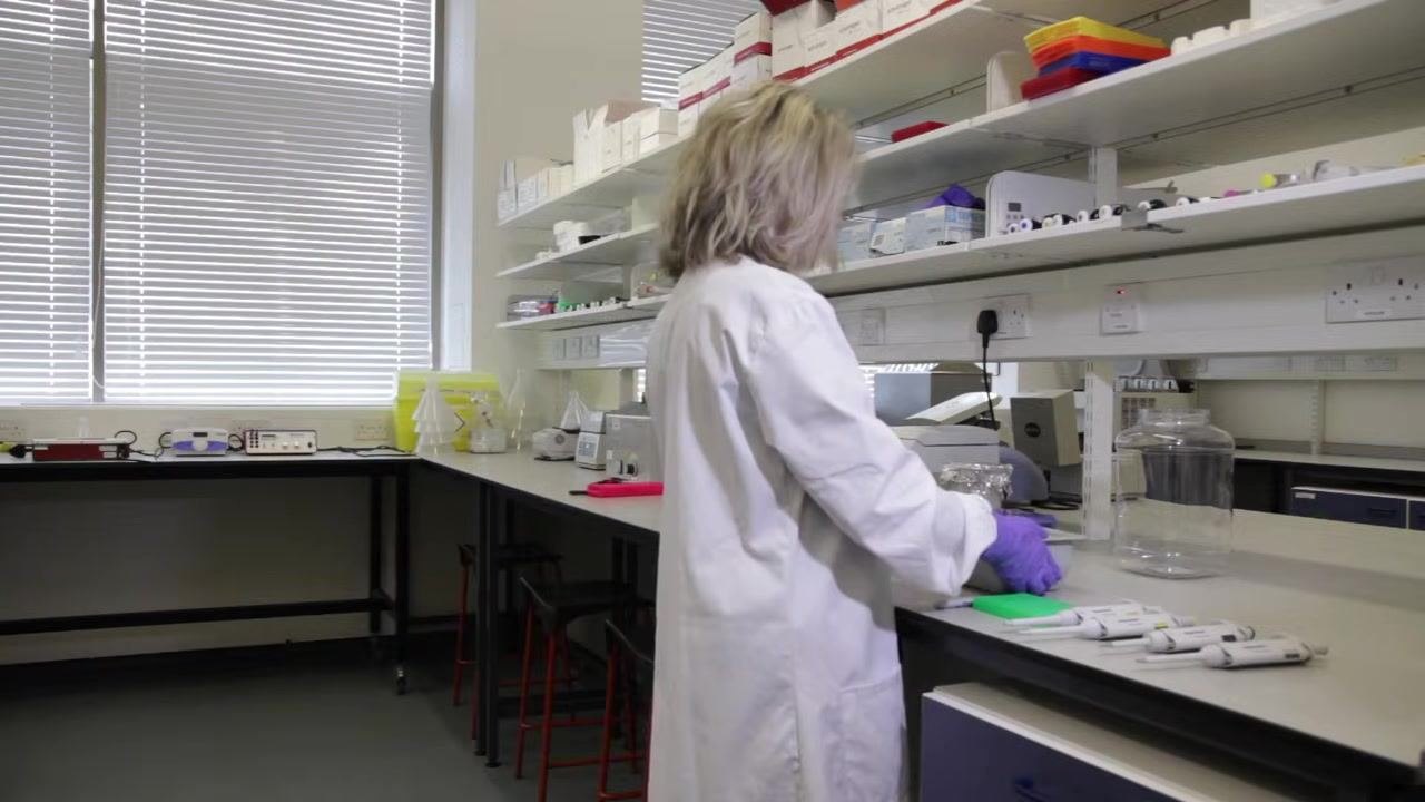 A laboratory instrument with a display showing DNA bands, indicating the results of PCR amplification. A gloved hand is interacting with the device.